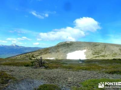 Pico Nevero - Hoyo Cerrado- Malagosto; los pueblos mas bonitos de madrid cebreros avila bosque encan